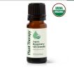 Rosemary 1,8-Cineole Organic Essential Oil