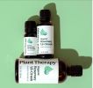 Rosemary 1,8-Cineole Organic Essential Oil