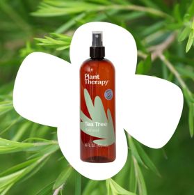 Tea Tree Organic Hydrosol (size: 16 aOZ)